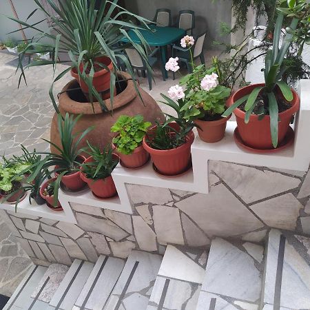 Каламанди Asenovgrad Extérieur photo